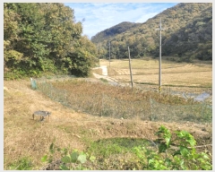  2024Ÿ10303 Ưġ  ۼ 494       ()