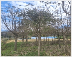  2024Ÿ10303 Ưġ  ۼ 494       ()