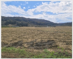  2024Ÿ10303 Ưġ  ۼ 494       ()