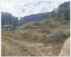  2024Ÿ10303 Ưġ  ۼ 494       ()