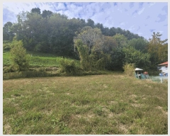  2024Ÿ10303 Ưġ  ۼ 494       ()