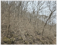  2024Ÿ11726 泲 ݻ걺  ﰡ 107-14      (Ӿ)