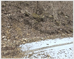  2024Ÿ11726 泲 ݻ걺  ﰡ 107-14      (Ӿ)