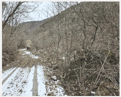  2024Ÿ11726 泲 ݻ걺  ﰡ 107-14      (Ӿ)