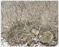  2024Ÿ11726 泲 ݻ걺  ﰡ 107-14      (Ӿ)