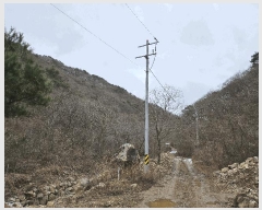  2024Ÿ11726 泲 ݻ걺  ﰡ 107-14      (Ӿ)