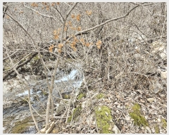  2024Ÿ11726 泲 ݻ걺  ﰡ 107-14      (Ӿ)