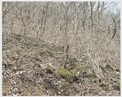  2024Ÿ11726 泲 ݻ걺  ﰡ 107-14      (Ӿ)