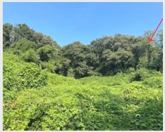  2024Ÿ117105 Ưġ  ߸ 17-30       (Ӿ)