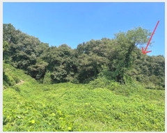  2024Ÿ117105 Ưġ  ߸ 17-30       (Ӿ)