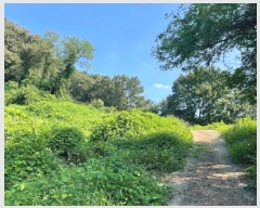  2024Ÿ117105 Ưġ  ߸ 17-30       (Ӿ)