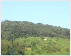  2024Ÿ117105 Ưġ  ߸ 17-30       (Ӿ)