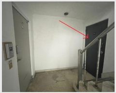  2024Ÿ122381   񷡼10 55, 102ȣ      ټ,