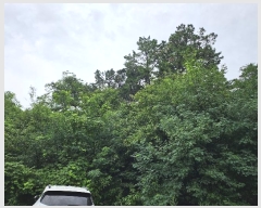  2024Ÿ3893 Ưġ ݳ  106-3       (Ӿ)