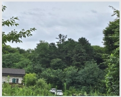  2024Ÿ3893 Ưġ ݳ  106-3       (Ӿ)