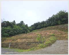  2024Ÿ3893 Ưġ ݳ  106-3       (Ӿ)