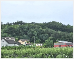  2024Ÿ3893 Ưġ ݳ  106-3       (Ӿ)