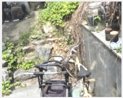  2024Ÿ��5646 ���� ����� ��ȭ�� 35-697       ���ð��