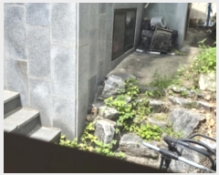  2024Ÿ��5646 ���� ����� ��ȭ�� 35-697       ���ð��