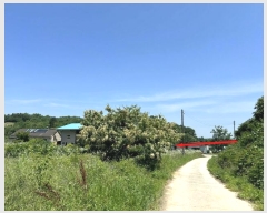  2024Ÿ6274 Ưġ  Ǹ 349       ()