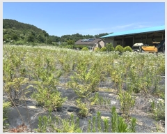  2024Ÿ6274 Ưġ  Ǹ 349       ()