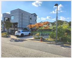  2024Ÿ9655 Ưġ  981        ()