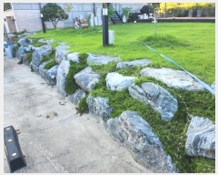  2024Ÿ9655 Ưġ  981        ()