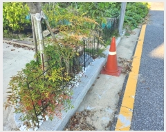  2024Ÿ9655 Ưġ  981        ()