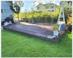  2024Ÿ9655 Ưġ  981        ()