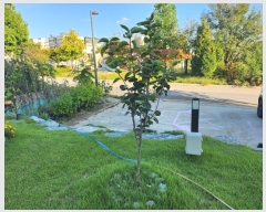  2024Ÿ9655 Ưġ  981        ()