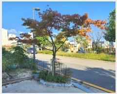  2024Ÿ9655 Ưġ  981        ()