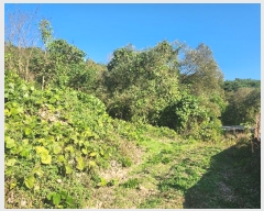  2024Ÿ10143 泲 ݻ걺 θ õ 214-7      (1)