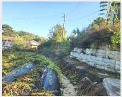  2024Ÿ10143 泲 ݻ걺 θ õ 214-7      (1)