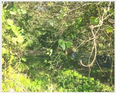  2024Ÿ10143 泲 ݻ걺 θ õ 214-7      (1)