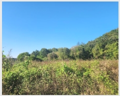  2024Ÿ10143 泲 ݻ걺 θ õ 214-7      (1)