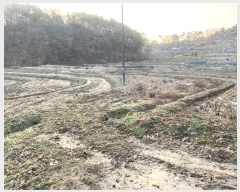  2024Ÿ��10808  ����