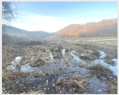  2024Ÿ��10808  ����