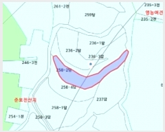  2024Ÿ��10808  ����