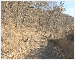  2024Ÿ11382 Ưġ 屺 ȸ 40-39       (Ӿ)