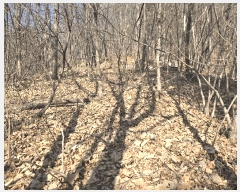  2024Ÿ11382 Ưġ 屺 ȸ 40-39       (Ӿ)