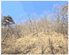  2024Ÿ11382 Ưġ 屺 ȸ 40-39       (Ӿ)