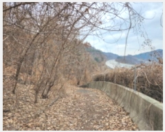  2024Ÿ11382 Ưġ 屺 ȸ 40-39       (Ӿ)