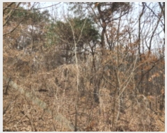  2024Ÿ11382 Ưġ 屺 ȸ 40-39       (Ӿ)