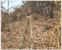  2024Ÿ11382 Ưġ 屺 ȸ 40-39       (Ӿ)