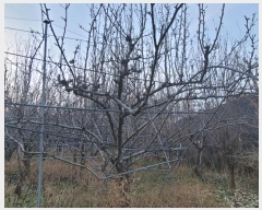  2024Ÿ11467    277-32       (1)