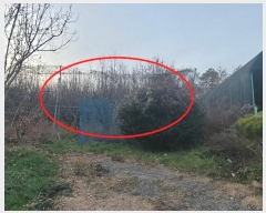  2024Ÿ11467    277-32       (1)