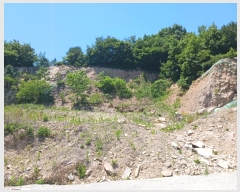  2024Ÿ��110456 ����Ư����ġ�� �ݳ��� ������ 472-3       ����(�Ӿ�)���