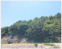  2024Ÿ��110456 ����Ư����ġ�� �ݳ��� ������ 472-3       ����(�Ӿ�)���