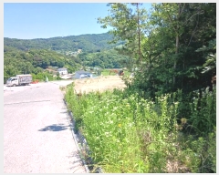  2024Ÿ��110456 ����Ư����ġ�� �ݳ��� ������ 472-3       ����(�Ӿ�)���