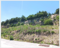  2024Ÿ��110456 ����Ư����ġ�� �ݳ��� ������ 472-3       ����(�Ӿ�)���